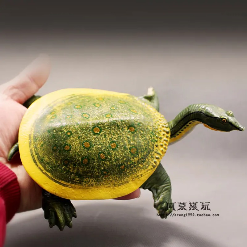 Leatherback Red-eared Turtle L - огляд і ціна Ocean Aquarium