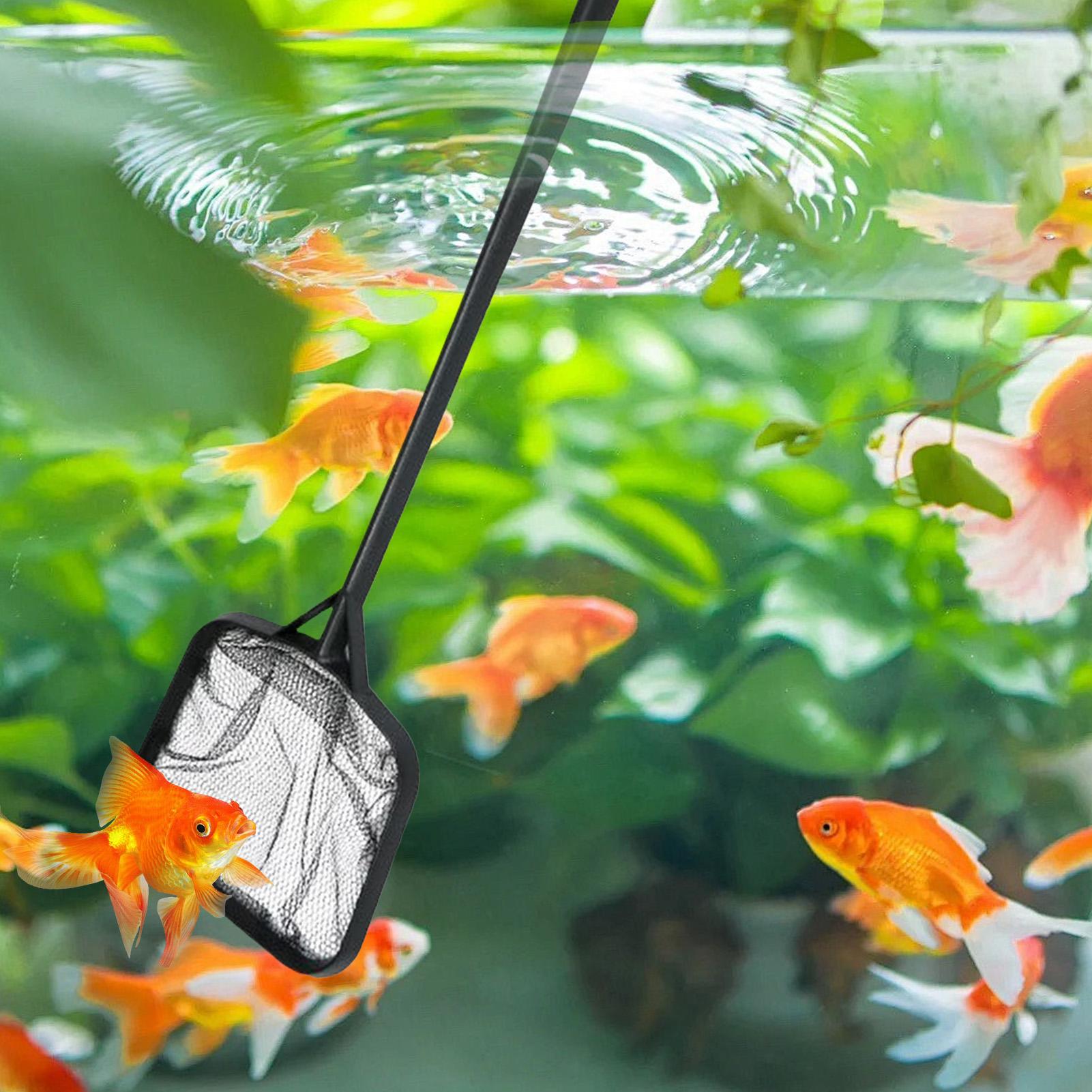 Pool Nets for Cleaning Portabl - огляд і ціна Marine Aquarium