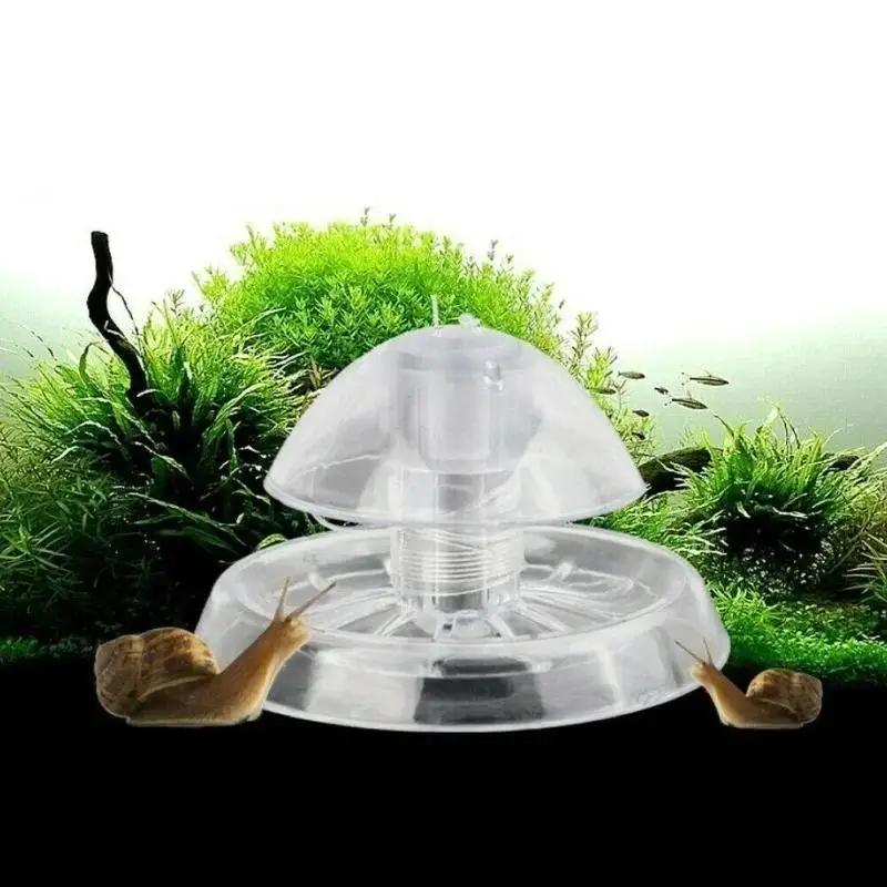 2026 New 6/8CM Clear Plastic S - огляд і ціна Marine Aquarium