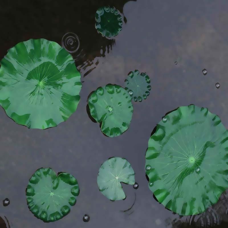 2026 Artificial Water Lily Lot - огляд і ціна Marine Fish Tank