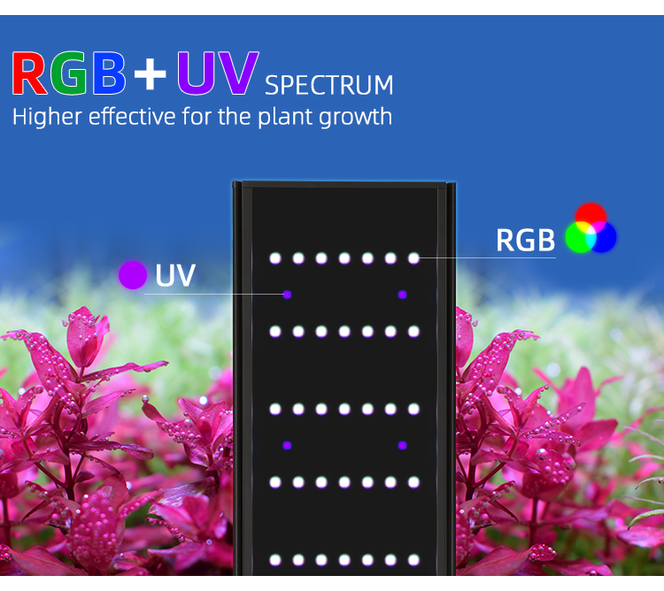 WEEK AQUA L Series APP Control - огляд і ціна Reef Lighting