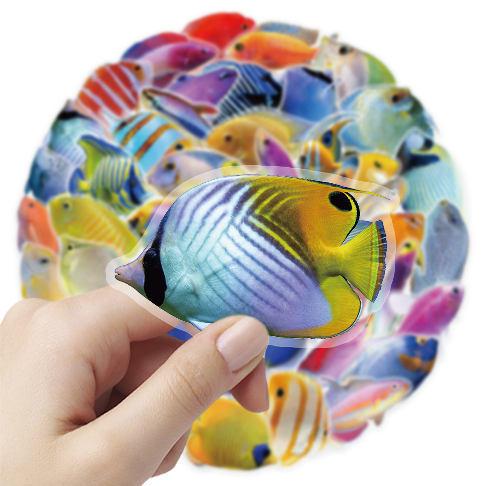 50-100PCS Transparent PET Cora - огляд і ціна Marine Coral